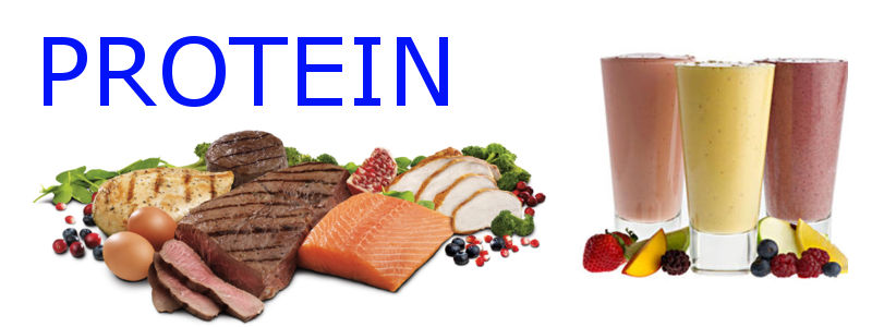 Protein Banner