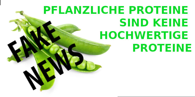 PFLANZLICHE PROTEINE – KEINE HOCHWERTIGE PROTEINE ?