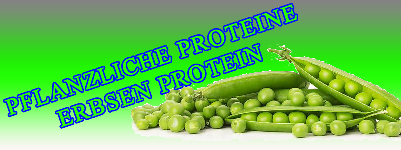 PFLANZLICHE PROTEINE – ERBSENPROTEIN